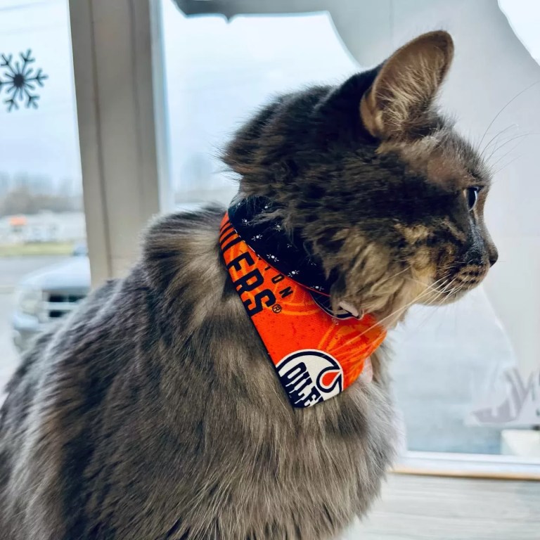 398976064 18320457097109530 7763909767252713024 n 1 jpg e1711154221422 768x768